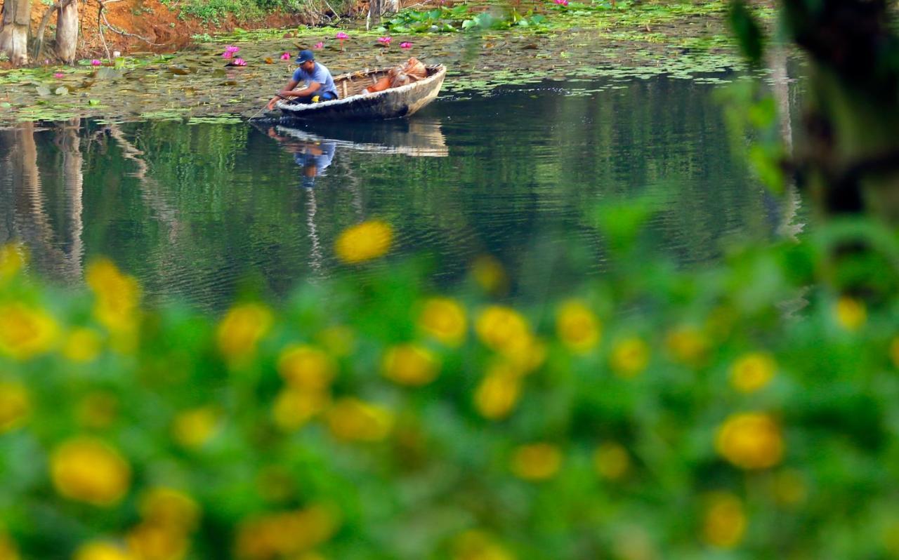 Vista Del Lago Ambalavayal Eksteriør billede